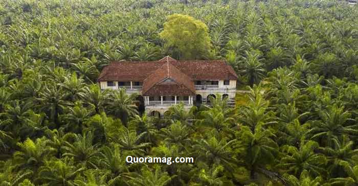 The history of Casabella is now Palm Beach farms.