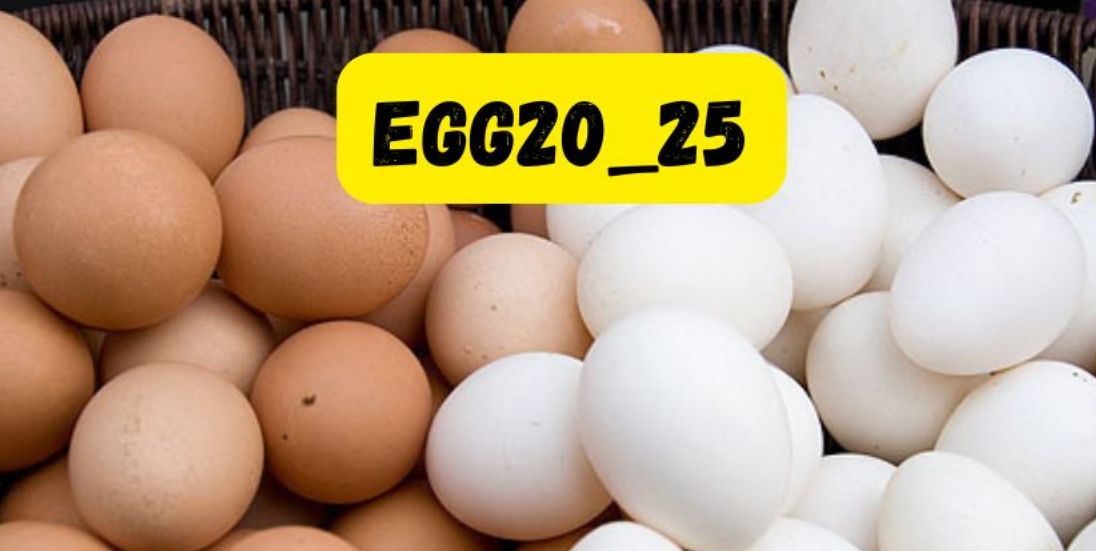 Which Advantages come with using egg20_25?